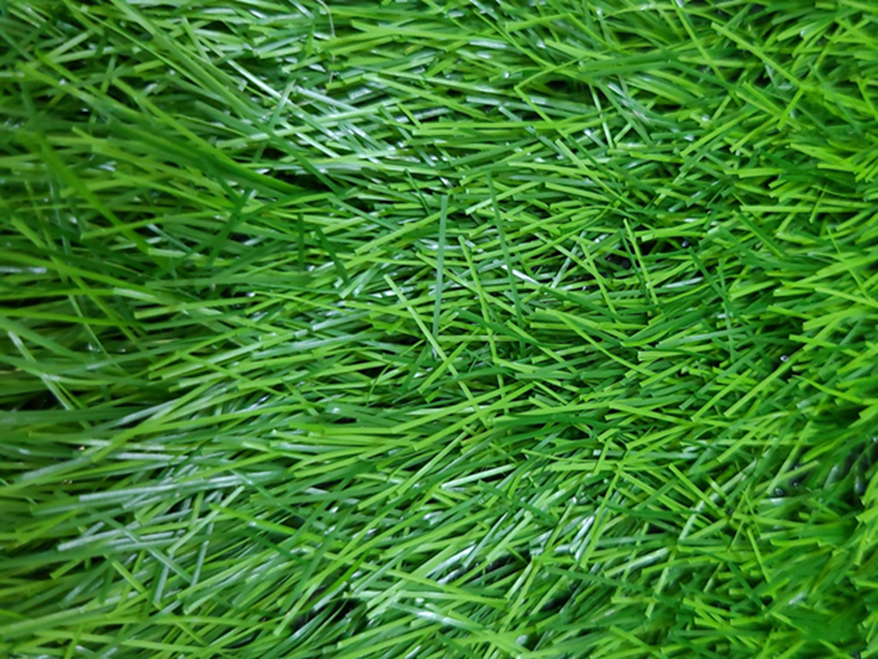 Toptan suni çim halı - yakın çekim lif dokusu kaliteli yapay çim toptan satış peyzaj firma İstanbul